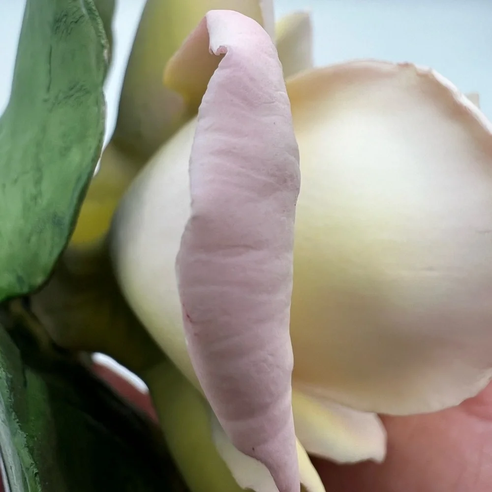 Napoleon Italy Pink /Yellow Rose Ceramic Porcelain Flower With Sticker Beautiful